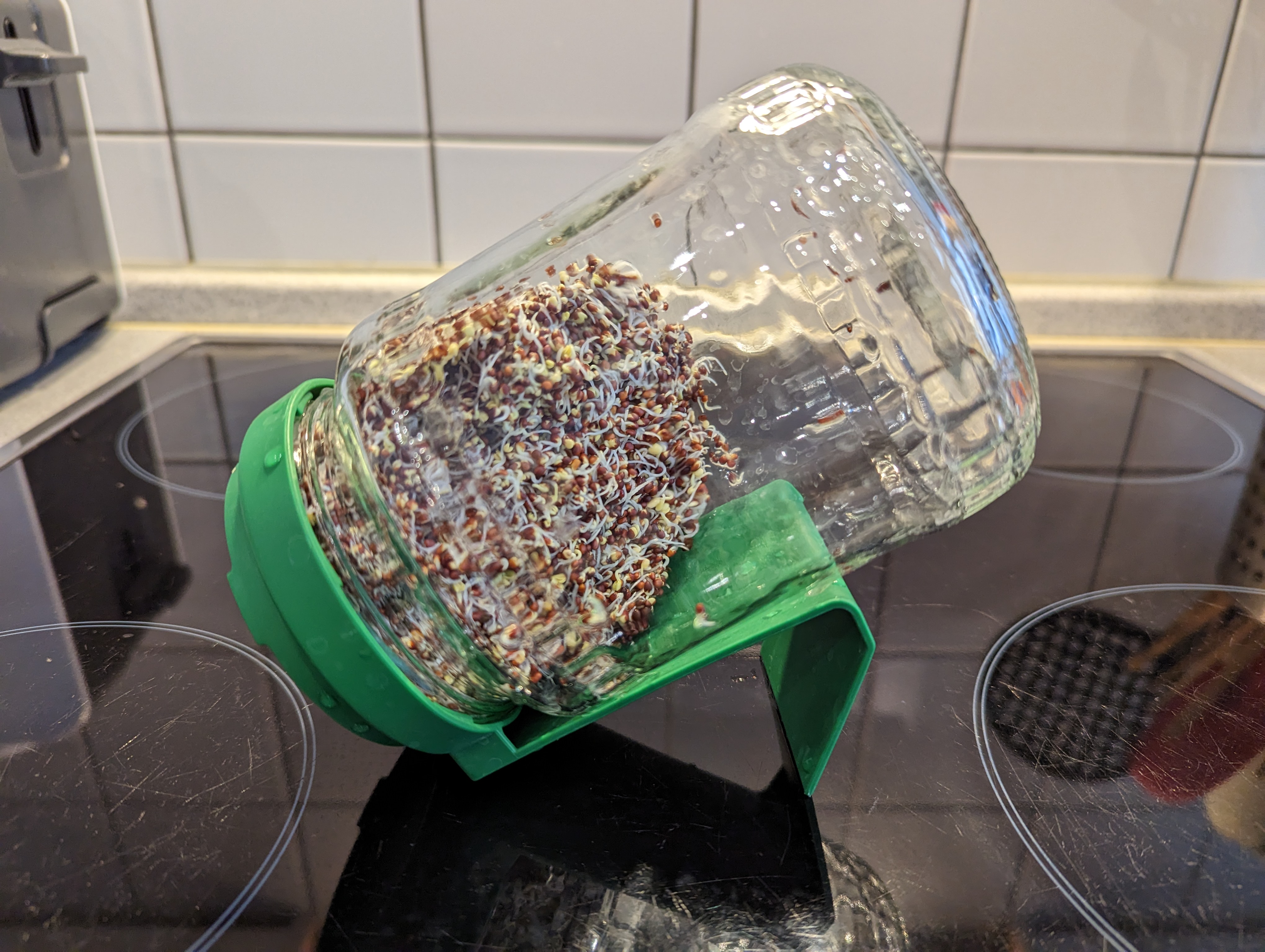 /blog/2023-06-05_broccoli_sprouts_soaking/mason_jar.jpg